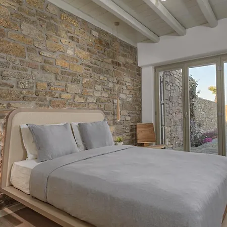 Villa Oasis 2 Mykonos Town